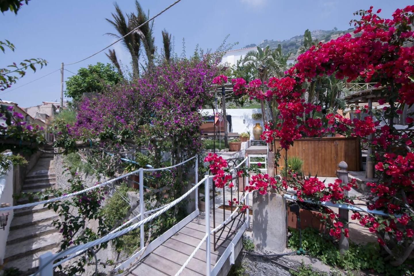 Perla Nel Blu Villa Affacciata Sul Mare Conca dei Marini Exteriör bild